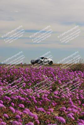 media/Jan-08-2023-SCCA SD (Sun) [[8f6a5b9391]]/Intermediate Group/Session 2 (Short Straight)/